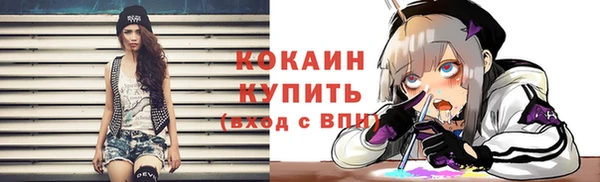 винт Армянск
