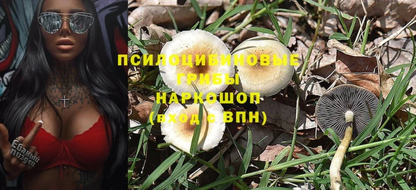 гидропоника Аркадак