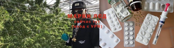 гидропоника Аркадак